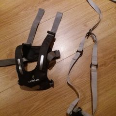 Child walking restraint