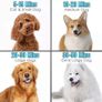 Dog Hair Dryer, 2800W Pet Grooming Hair Dryer, Image 6