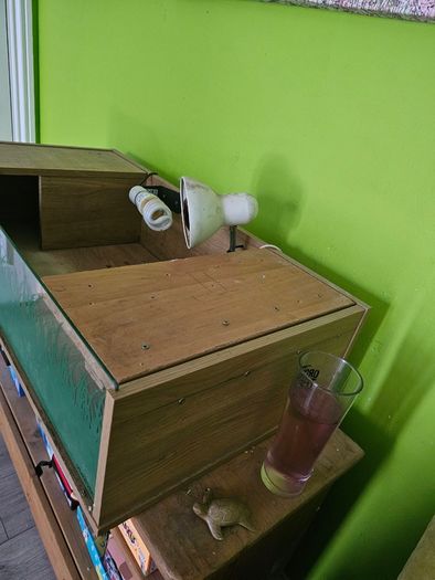 Tortoise / Reptile Start up Enclosure for Sale