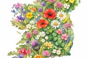 Floral Ireland Art Print