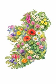 Floral Ireland Art Print