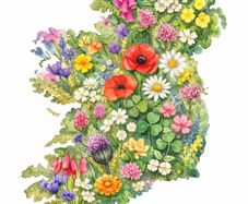 Floral Ireland Art Print