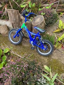 Children's bike needs a new home