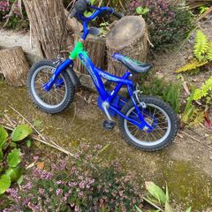 Children's bike needs a new home