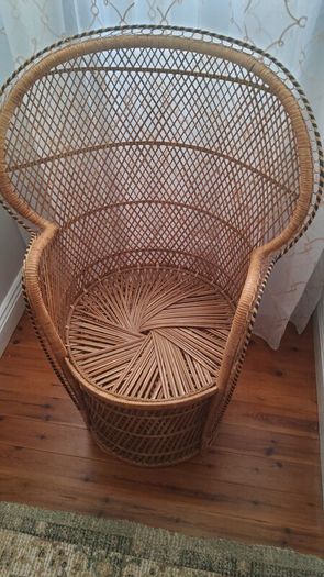 Childrens Peacock Chair