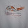 Regatta Tshirt. Size UK10 Image 2