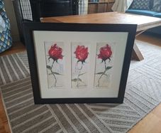 pictures
