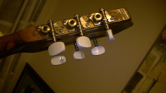 LARK Guitar