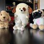 Dog Soft Toy Bundle Image 6