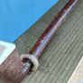 Vintage mounted Cello bow on gilded board Image 8