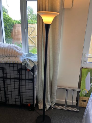 2 Floor Lamps