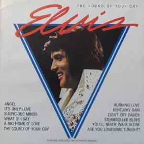 Elvis Presley Vinyl Collection (26 Items) Lot 1 For Sale