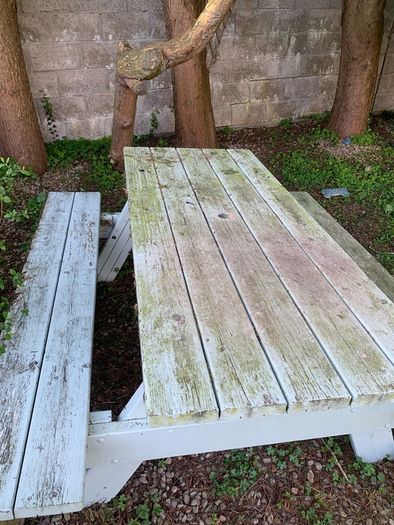 Garden Table bench