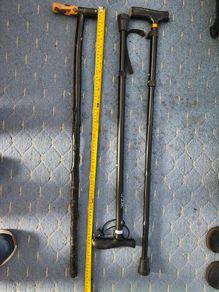 walking  stick