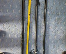 walking  stick