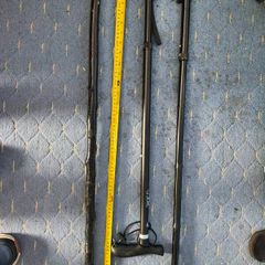 walking  stick