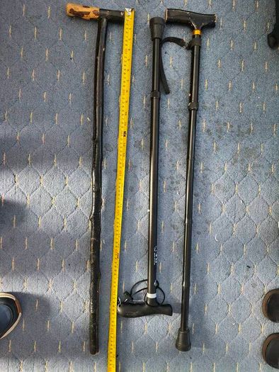 walking  stick