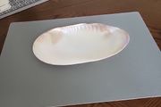 Abalone shell large
