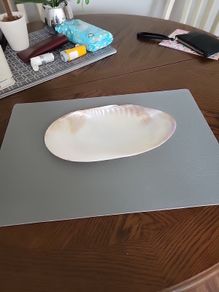 Abalone shell large