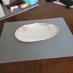 Abalone shell large