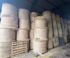 Hay & Silage