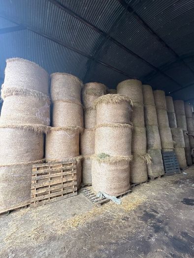 Hay & Silage