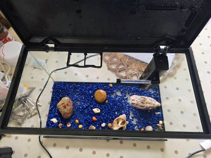 Fish Tank  Aquarium