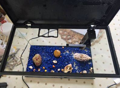 Fish Tank  Aquarium