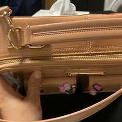 ladies bag