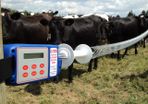 Batt-Latch Automatic Gate Release Timer