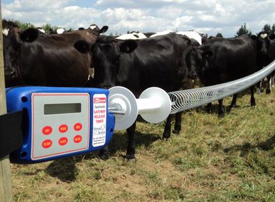 Batt-Latch Automatic Gate Release Timer