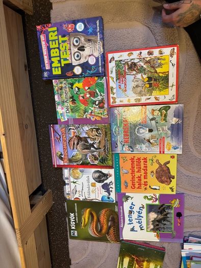 Hungarian children books Magyar
