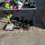 Large Halloween Job Lot. Image 7