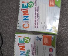Cinnte 3