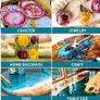 16 Oz. Art Resin, Crystal Clear Resin Kit, Epoxy Casting and Coating for Art, Jewelry, Tumblers, River Tables, Easy Mix 1:1 Resin Epoxy with Sticks, Graduated Cups and Gloves (FREE POSTAGE) Image 3
