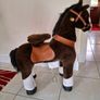 Pony Image 3
