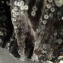 Next girls black velvet top with sequins age 9 to 10 years Image 2