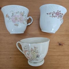 China Cups