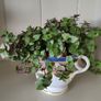 Turtle Vine. Tradescantia Callisia repens.House plant. Image 8