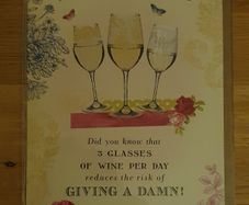 BNIP - A Birthday Card - #