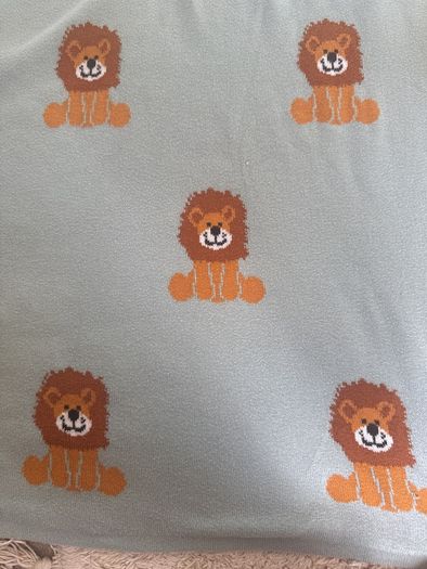 lion blanket