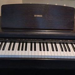 Yamaha Electric Piano YDP-101