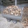 Fire Wood Image 4