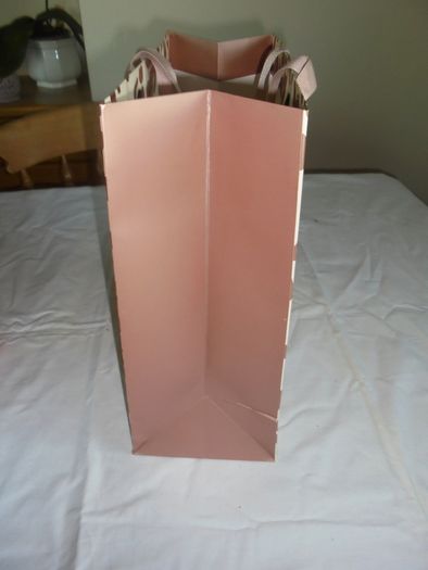 Champagne Wedding Gift Bag for Sale