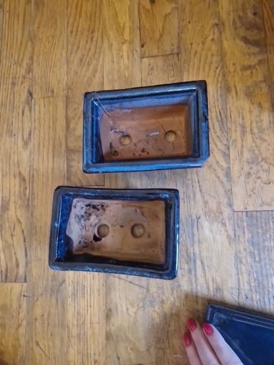 Bonsai pots