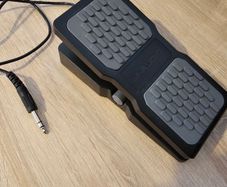 M-Audio Expression Pedal