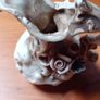 Antique  Capodimonte Image 3