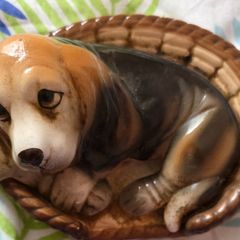 Vintage Hound Dog in Basket from the 70s