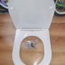 Toilet Image 7