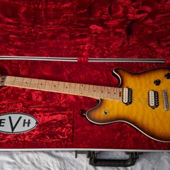 Evh Wolfgang Special - Not Interested In Swaps, Guitars Or Any Gear.